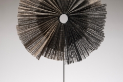 WK-2025.14-Growth-Ring-1-1